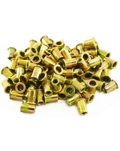100 Piece 1/4-20 Steel Rivet Nuts