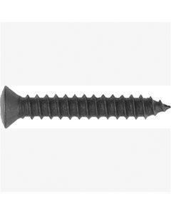 Phillips Oval Head Sheet Metal Screws Size: 8 x 1", Head Size: #6, Finish: Black, Qty: 100