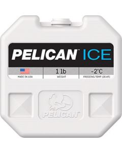 1 LB. ICEPACK MASTERPACK 6 TRAYPA