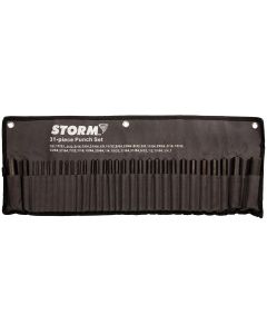 31 Piece Transfer Punch Set