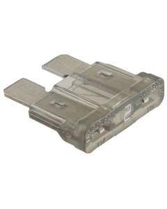 Mini Fuse 2 Amp (100/Bag)