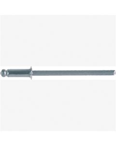 SS Rivet Mandrel Moulding Ford