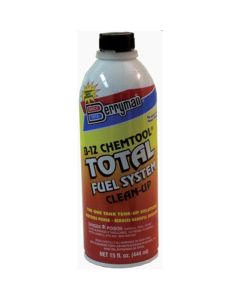 Fuel System Clean Up