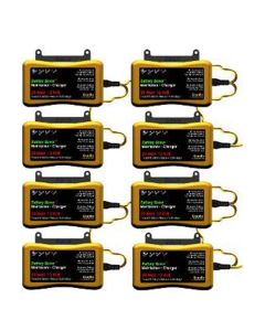 Maintainer, Charger, Battery, 8 Pack