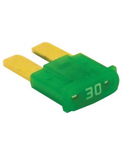 Micro-2 30 Amp