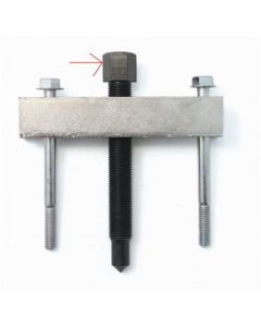 Center Screw 8095, 4300