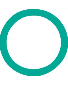 O'Ring # 10