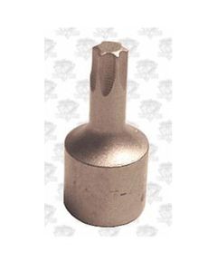3/8" Square Drive Bit for Torx Screw - TX45