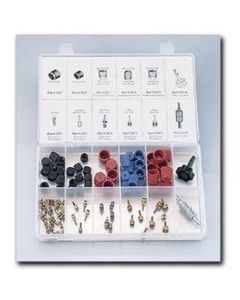 Cap/Valve Core Asst w/Tools