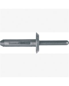 Blk Nyl Blind Rivets GM  10 Pc