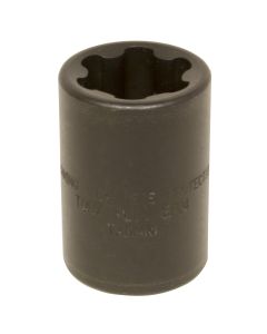 EP-24 Torx Plus Socket
