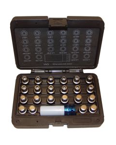 VW/Audi Wheel Lock Bolt Kit