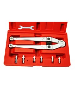 Pin Spanner Set