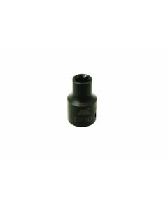 Torx Plus Socket EP10
