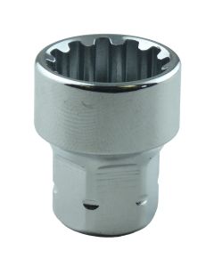 10mm x 1/4 in. Drive Spline Socket (EA)