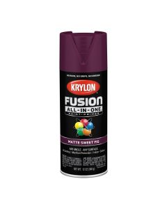 Krylon Fusion All-In-One Paint + Primer, Matte Sweet Fig