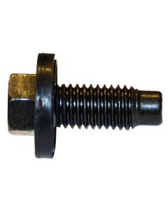 Drain Plug 12mm-1.75 PP