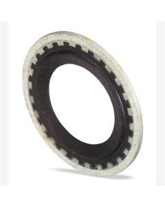 Gm Sealing Washer