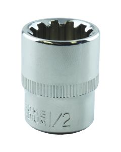 1/2 in. x 1/4 in. Drive Spline Socket (EA)