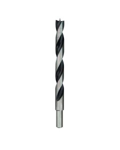 Brad Point 1/2" Diameter