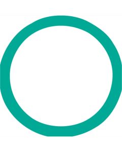 O'Ring # 12