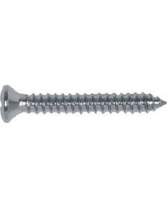 Philips Oval Head Shee Metal Screw Chrome, Size: #8, Size: #8, Length or Range: 3/4", Qty: 100