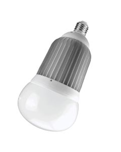 4275 Lumen LED Big Bulb