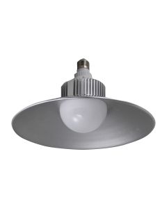 2500 Lumen LED Utility Bulb