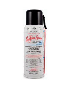 SEASS14 - SEAFOAM 14OZ SEAFOAM SPRAY