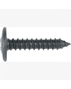 ABD6204B image(0) - Philips Oval Washer Head-GM
