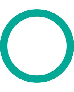 10 pack O'Rings