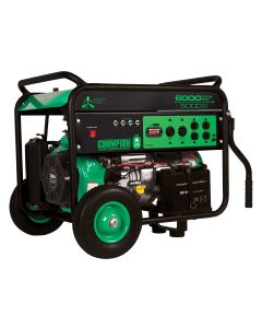 Champion Power Equip. 5000/6000 Watt Portable LPG Generator with Electric Start
