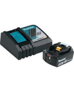 18V LXT 5.0 Ah Battery and Charger Starter Pack