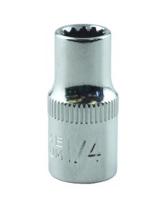 1/4 in. x 1/4 in. Drive Chrome Spline Socket (EA)