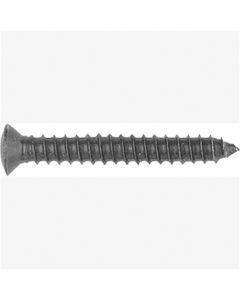 Torx Oval Head Trim Screws, Size: 4.2-1.41 x 30mm, Head Size: 7mm, Finish: Black Stnless Steel, 100
