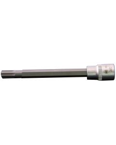 1/" Drive #10 Polydrive Head Bolt Socket