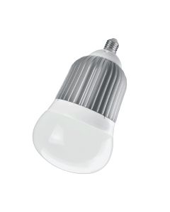 2570 Lumen LED Big Bulb
