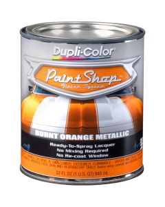 Paint Shop Burnt Orange