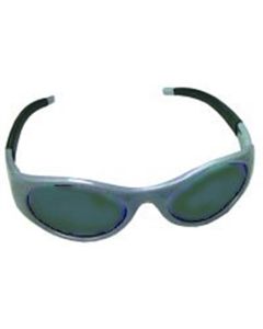 Safety Glasses, High Impact, Silver Frames/Shaded Lens