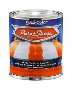Paint Shop Hugger Orange