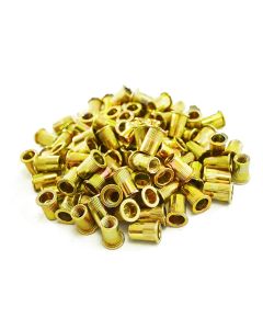 100pcs M8 8mm Steel Rivet Nuts
