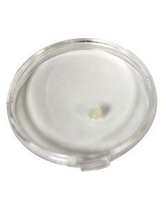 MSC98251-E image(0) - LENS