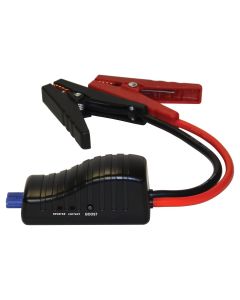RFD4902-P1C image(0) - intelligent jumper cable for RFD4902