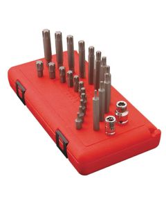24-Piece Ribe Bit Set