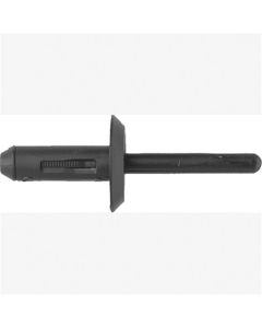 ABD6509B image(0) - Blk Nyl Blind Rivets GM 100 Pc
