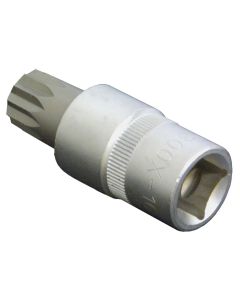 ASS6300X-16 image(0) - SOC 16MM 1/2D DRN PLG HEX SATIN