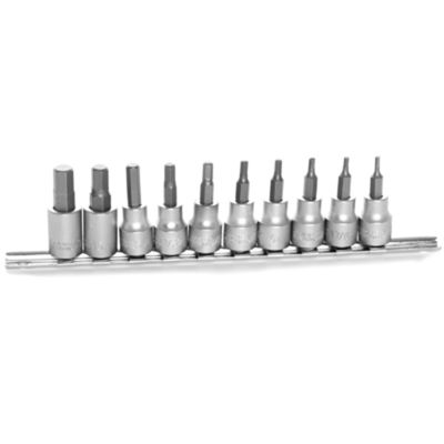 10pc SAE Bit Skt Set