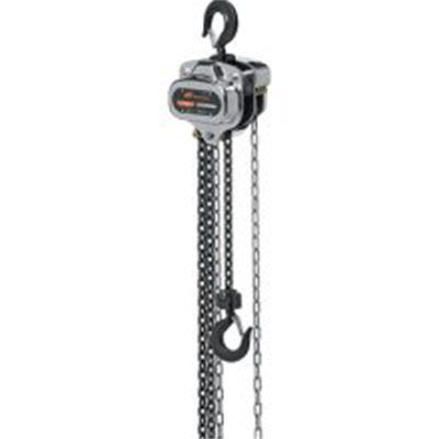 Manual Chain Hoist 10'