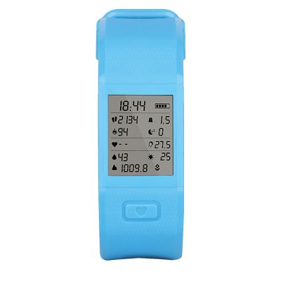 Sports Fitness Wristband by Hesvit   (Blue)