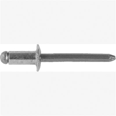 Steel Zinc/Gld Chrm Frnt Bmpr Assy Riv Frd, Hole: 1/4", Panel/grip: 1/8"-1/4", Flange: 1/2", Qty
